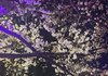 산책