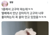 엘베에서 만난 강아지