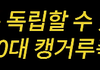요즘 논란중이라는 캥거루족