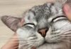 난