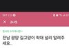 전남 광양시 고양이 학살 사건