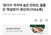 '맞다이' 하자며 숨은 민희진, 딸들은 '화살받이' 중인데