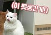 킥포인트는