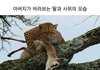 무섭다..ㅎ