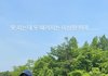 이주연, 지드래곤과 6번째 열애설 후..이상한 취미 고백