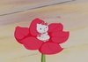 아니 와코 영상중애