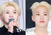 세븐틴, 모두 모이면 소형차 한 대 먹는다…"회식비만 1000만 원" ('냉부해')