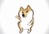 궁딩이가