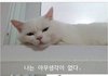 좋아하는