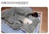 뜨겁고 빠르게