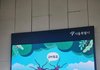 러브버그는 익충입니다