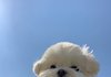 보고싶어요