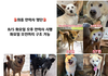 완주군 보호소를 도와주세요. 오늘 8월 5일 49마리의 생명이 사라집니다… 여러분의 관심이 필요합니다