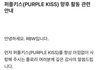 걸그룹 퍼플키스 해체