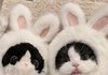 보고싶고