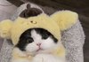 보고싶다