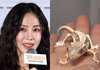 한지은, 동물학대 논란...뼈밖에 없는 도마뱀 충격적 상태 "폐사 직전"