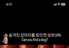 잘 안묻어나는 틴트