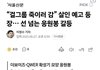 더보이즈 팬의 qwer 살인예고 기사뜸