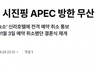 [단독] 시진핑 APEC 방한 무산