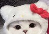 누나가