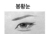 이런 눈 너무 이쁜 것 같음