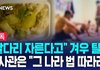 중국 납치 조직, 팔 다리 자르는 동영상 보여주며 협박