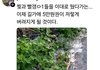 길거리에 뿌려진 돈  보고