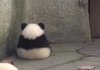 보고싶다