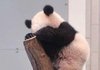 보고싶다고
