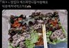 에스파 쌈밥 개맛있어보이는데...