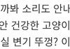 근데 고양이들 입냄새