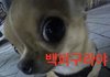소수과여도 과팅미팅 잘 잡혀?