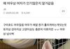 왜 여자들 여우상이 인기많은지 알거같음