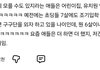 한국인들 공부정병 ㄹㅈㄷ인듯