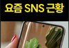 요즘 SNS 특징.jpg