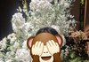 예식장 가서 찍사