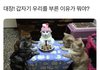 다들 모여바 할 말이 있다 ^^