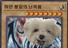 귀엽다
