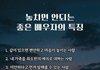 좋은 배우자의 특징.
