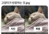 누구인가?