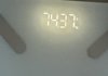 돼지판녀가 5일동안 물단식하면 몇키로빠지는지 보여줌