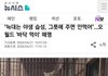 늑구맘들 레전드네 진짜ㅋㅋㅋㅋㅋㅋㅋㅋㅋ