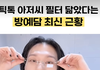 방예담 근황이래