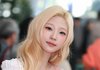 하투하에서 스텔라가 제일
