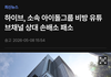 하이브 비방 유튜브 채널에 소송 했다가 패소했대