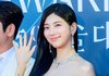 수지 체형