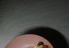 아침먹기