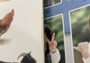 나는 (솔로지옥)국동호+문@@의 피해자야, 다른 용의자들..