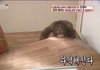 남친 정떨어지는데 내가 너무 못됐나